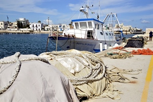 Pesca, Fedagripesca: oltre 4000 domande per fermo 2024, bene ma welfare strutturale resta urgenza